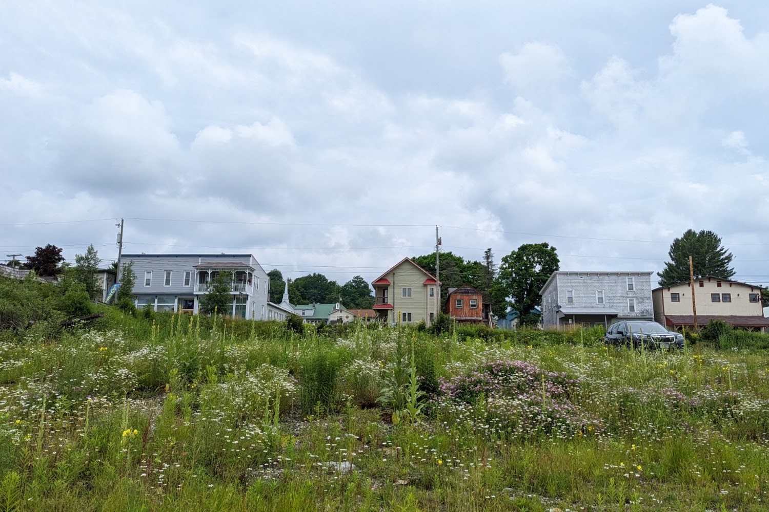 Mountaineer Humane Society