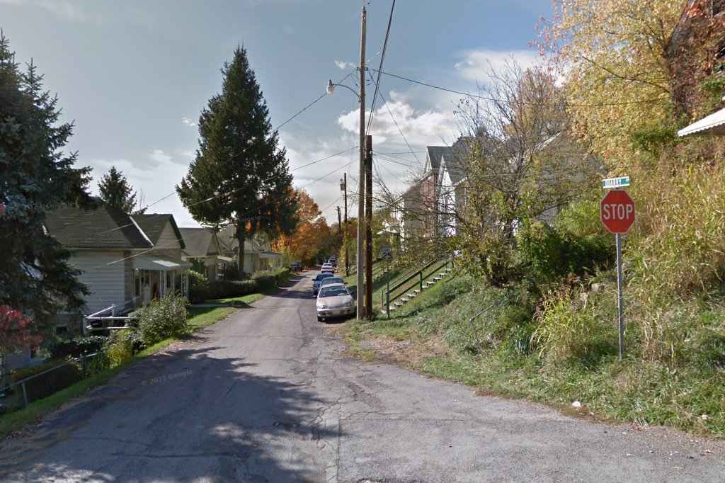 Northern Wv Saint Bernard Rescue