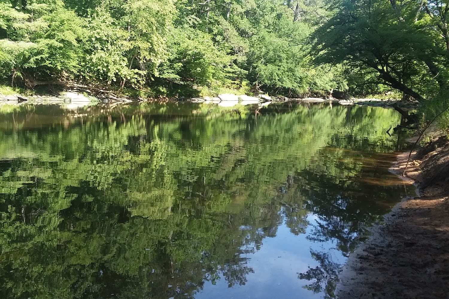 Crossing Paths Animal Rescue