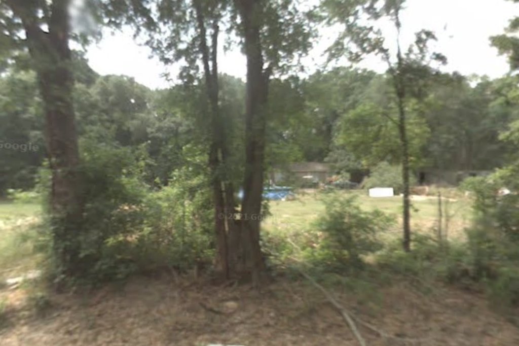 Dirty Sallys Pet Pals