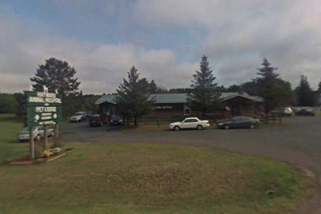 Hayward Animal Hospital