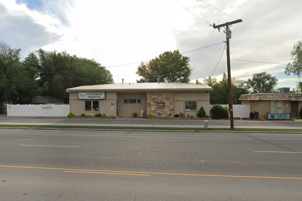 Alta Veterinary Hospital