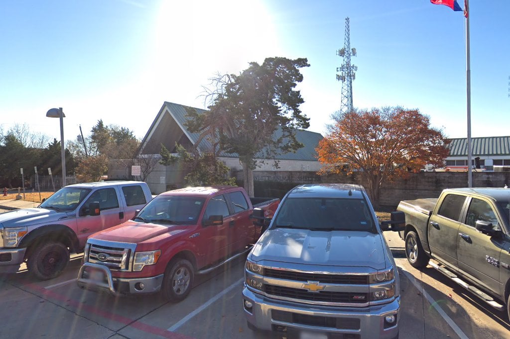 City of Rowlett: Animal Shelter