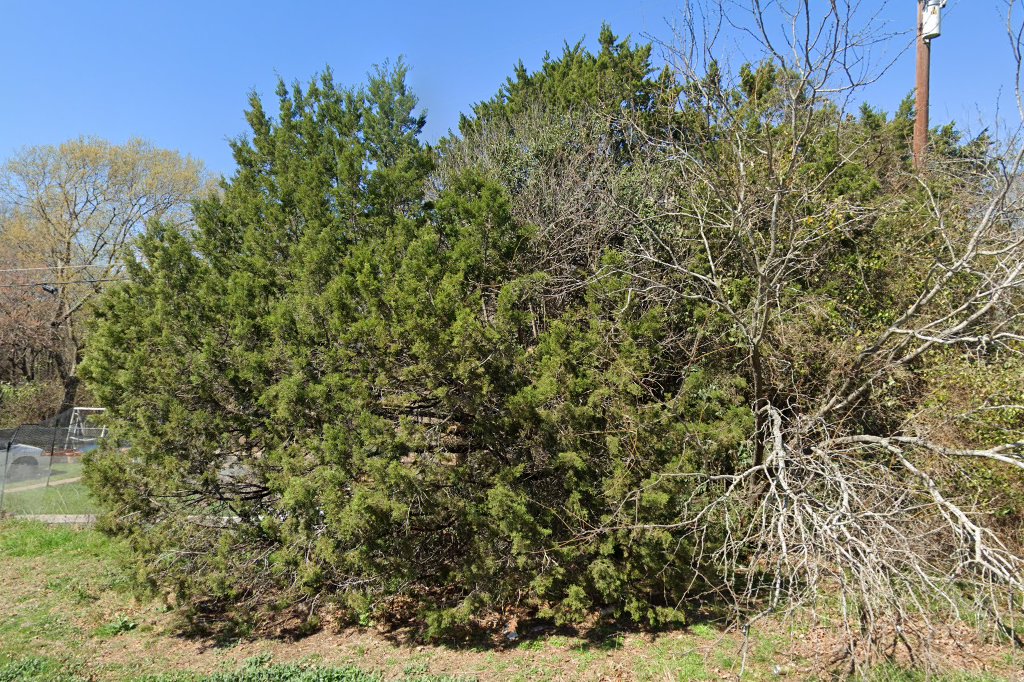 Purrfect Corporation