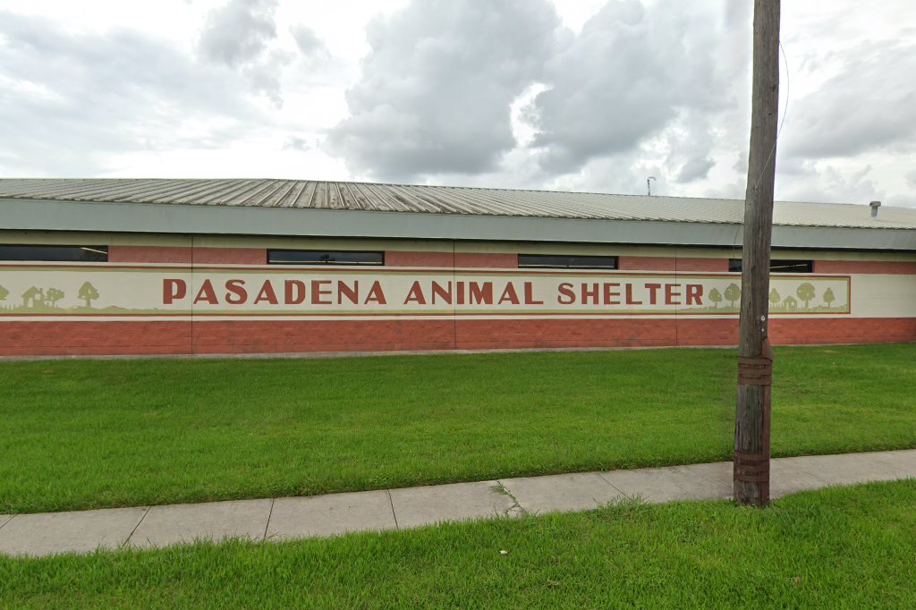 Pasadena Animal Shelter