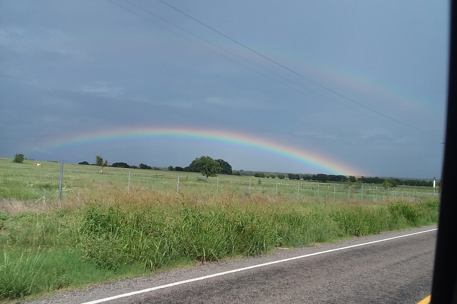 Brazos Valley Equine Hospital