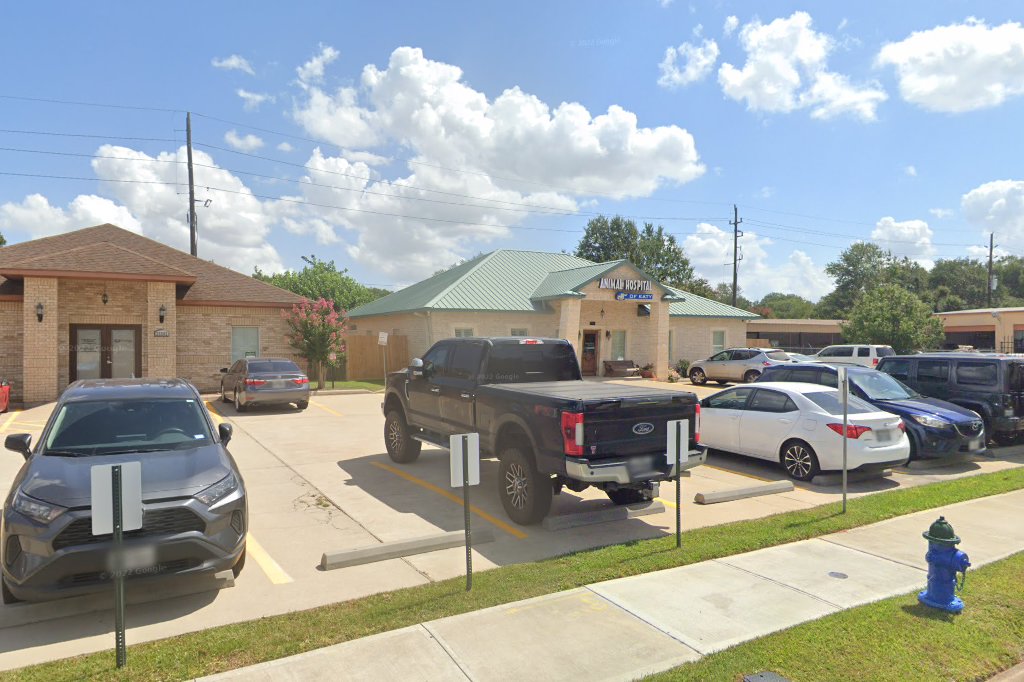 Animal Hospital of Katy