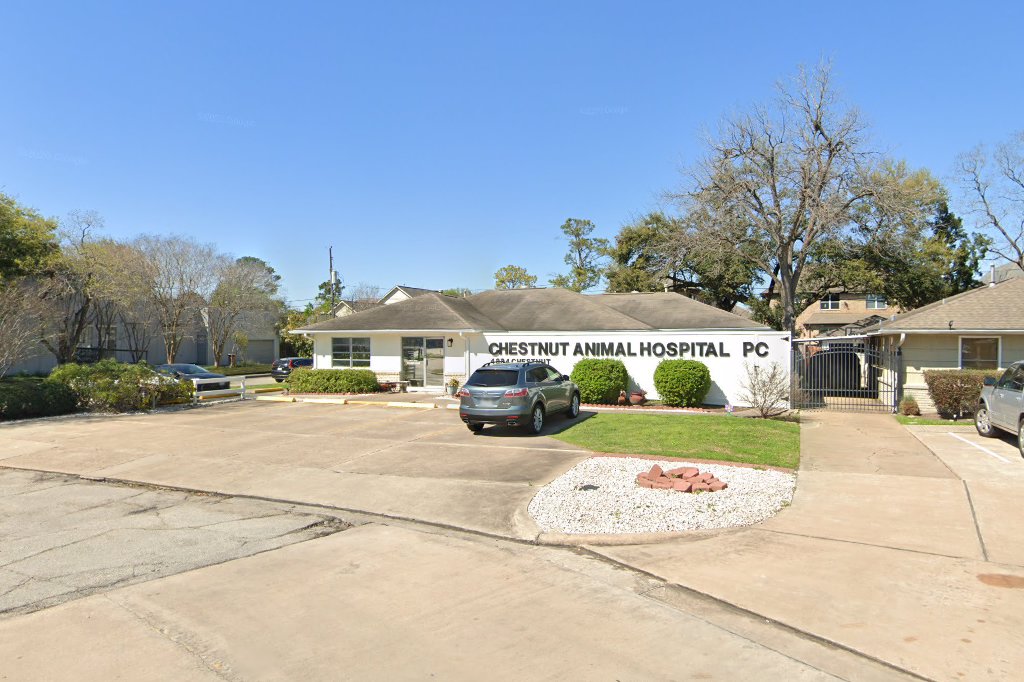 Chestnut Animal Hospital