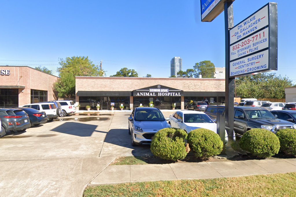 Richmond Avenue Animal Hospital