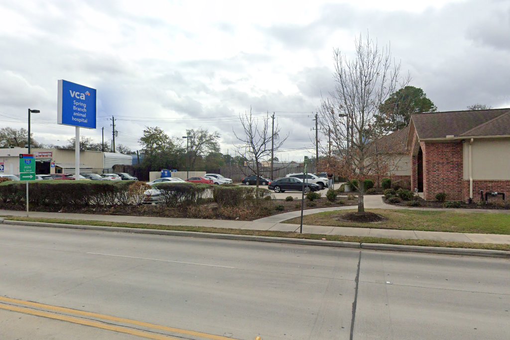 VCA Spring Branch Animal Hospital