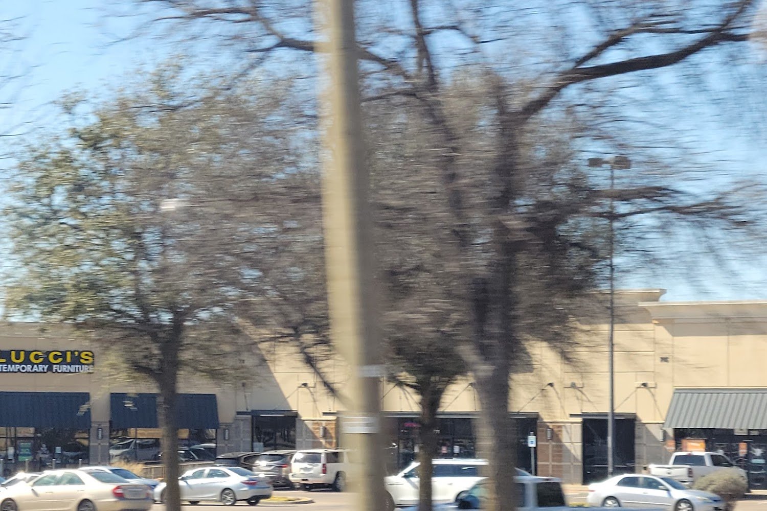 Cedar Hill Animal Control