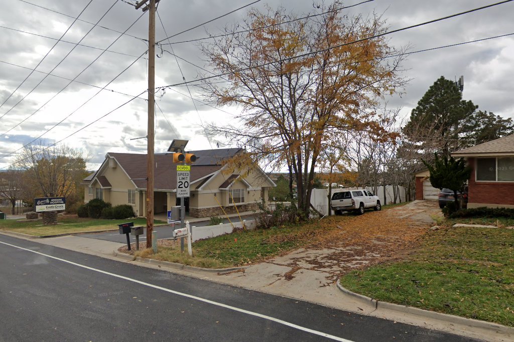 Coldwater Animal Hospital