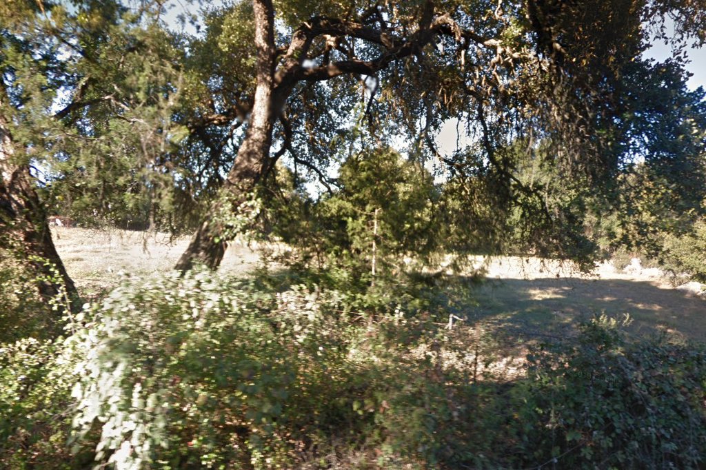 Spicewood Animal Control