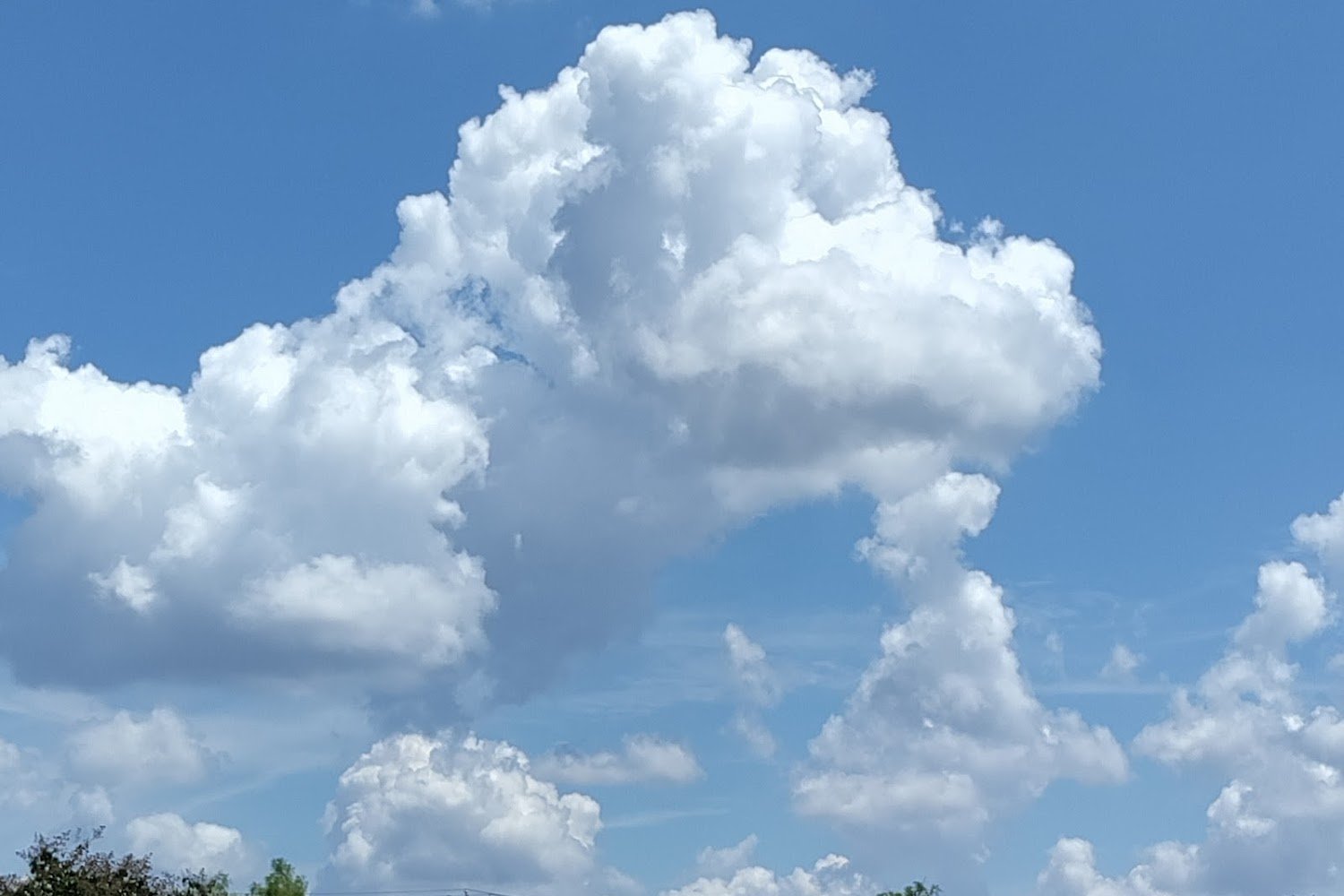 Harker Heights Animal Shelter