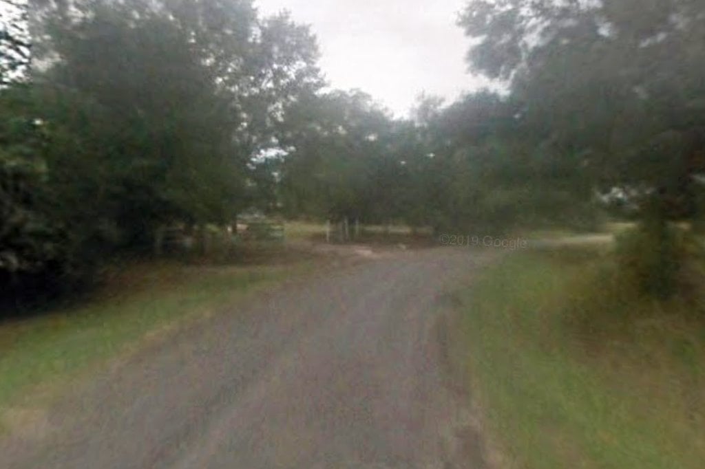 Cat Spring Animal Shelter