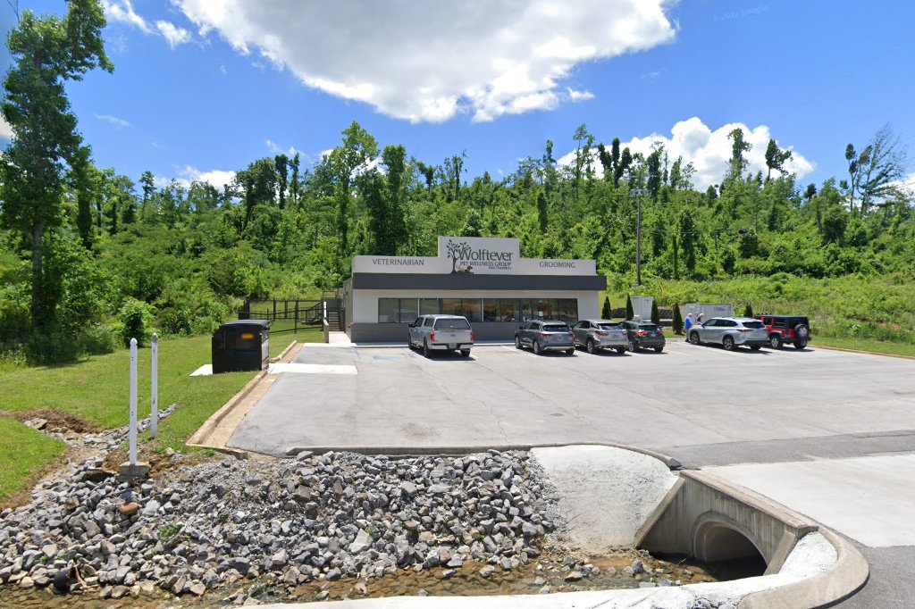 Standifer Gap Pet Hospital