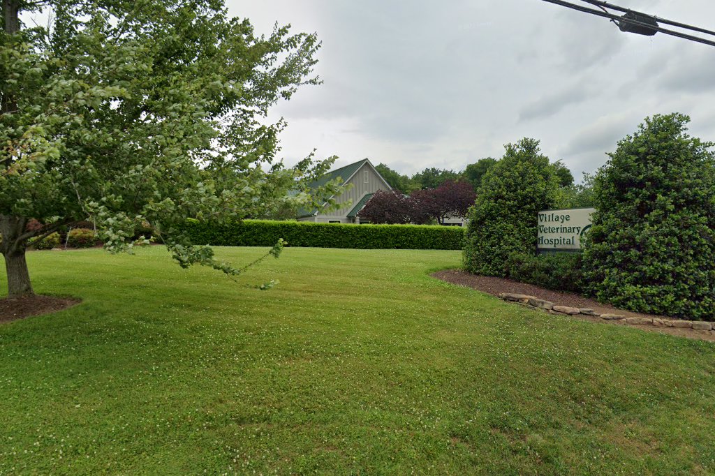 Village Veterinary Hospital