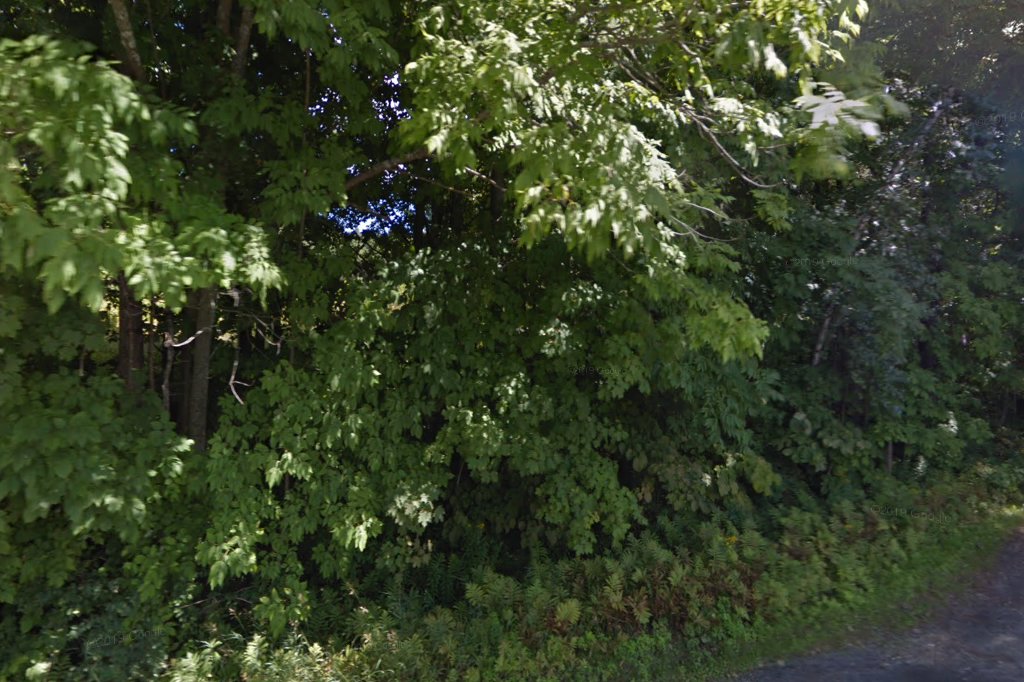 Waterbury Veterinary Hospital