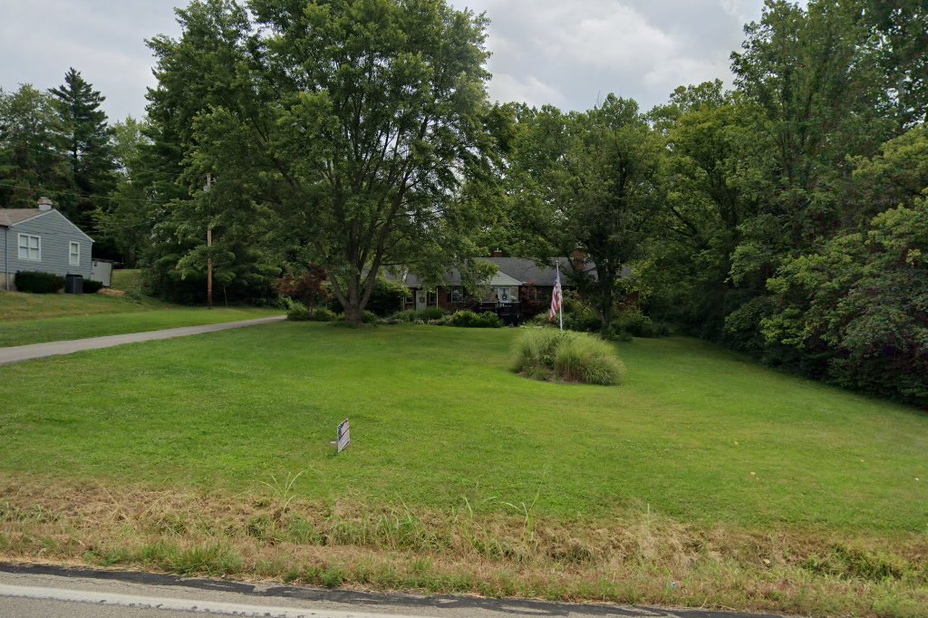 Schnauzer Friends for Rescue and Adoption