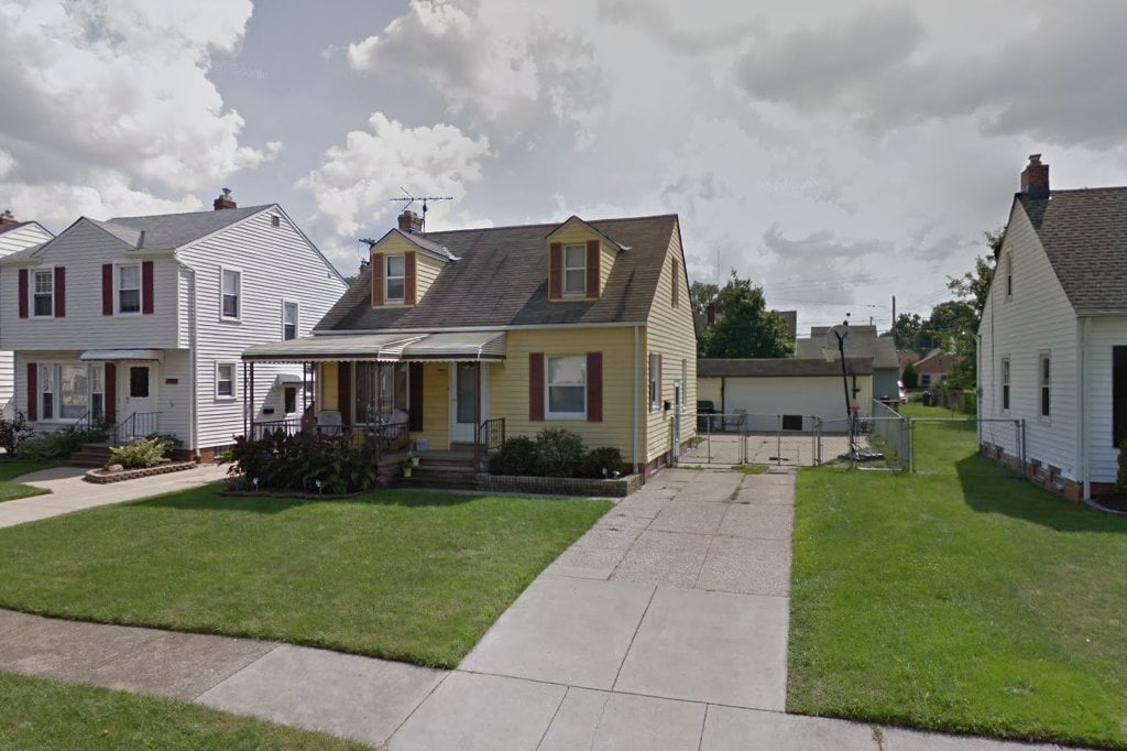 Spirit's Cove Animal Rescue Co.