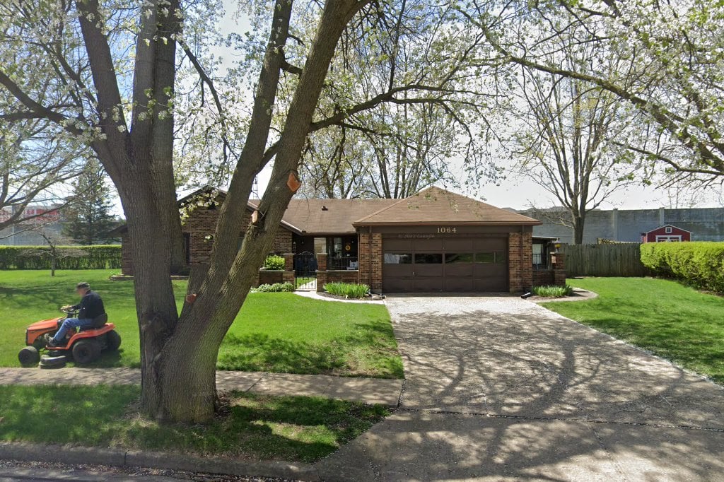 Ohio Papillon Pom Rescue