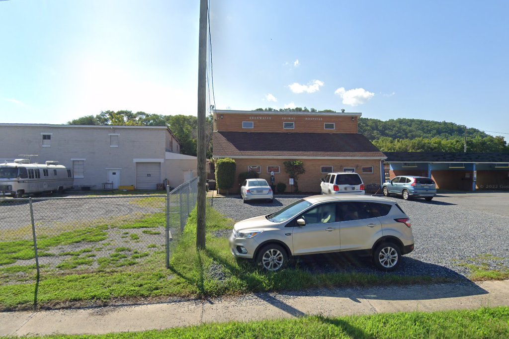 Edgewater Animal Hospital