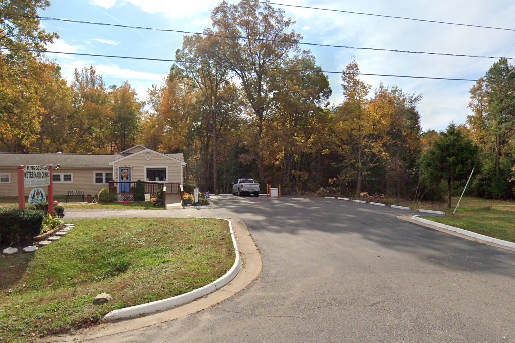 King George Veterinary Clinic