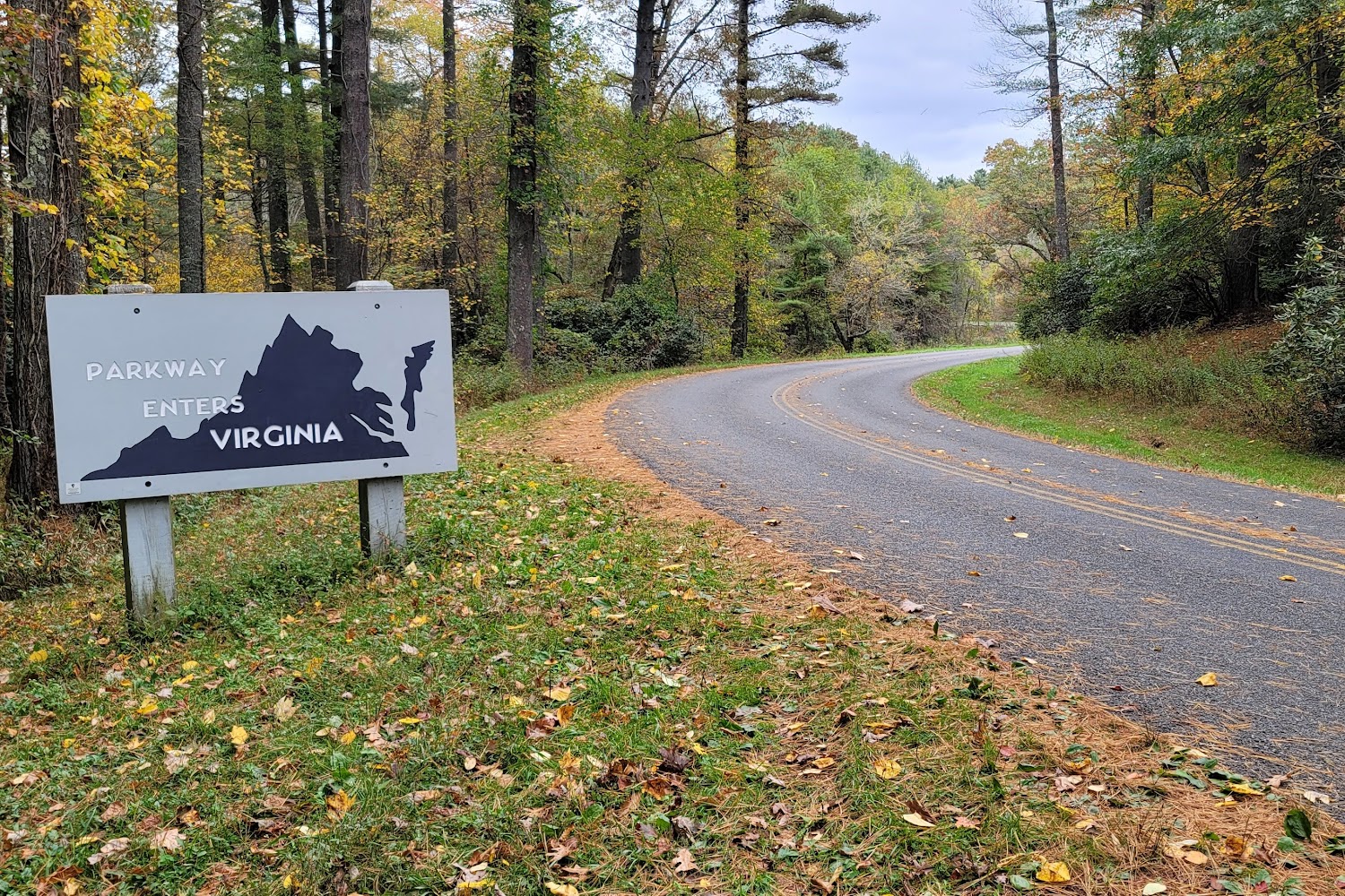 Galax Animal Shelter