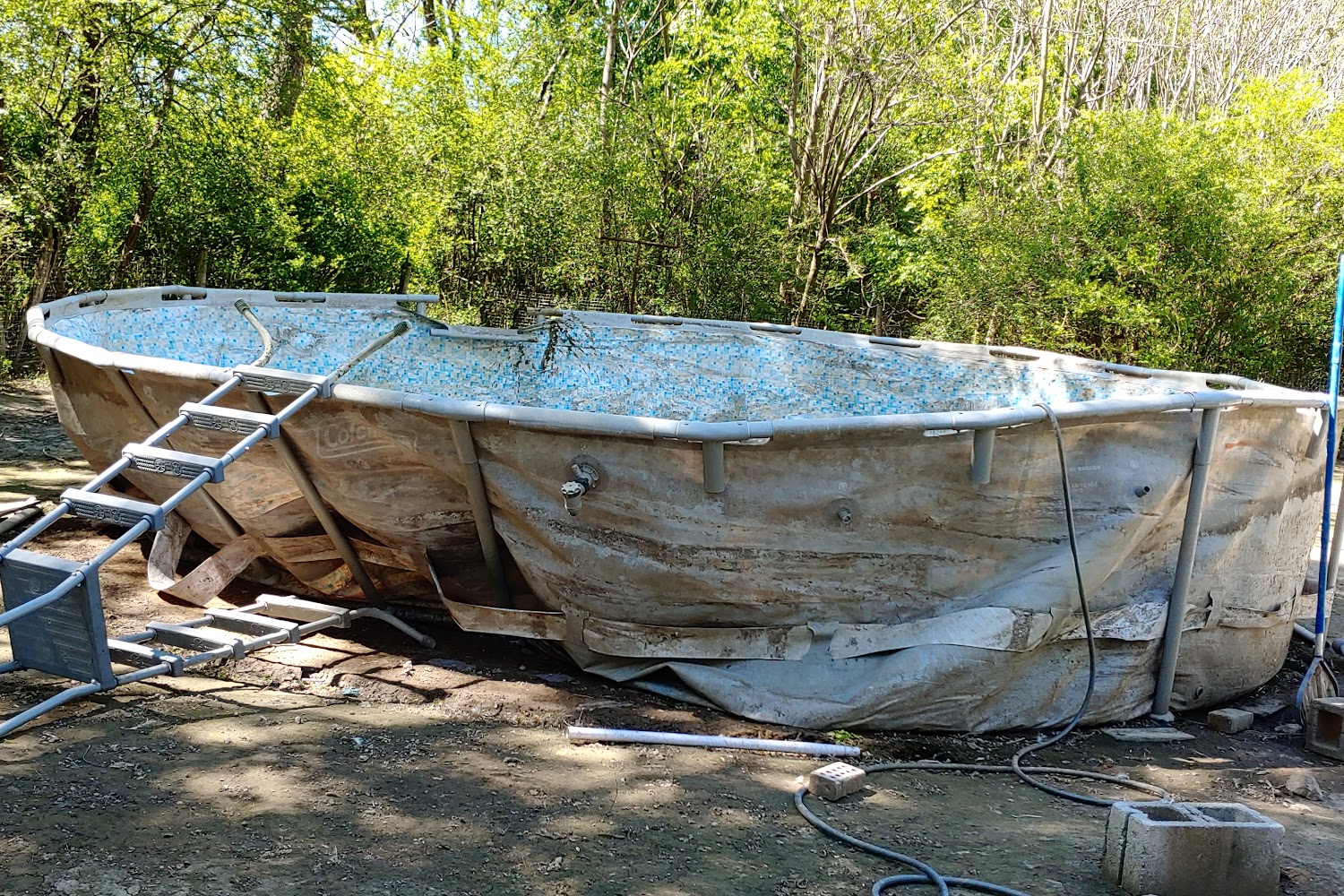 Woodworth Animal Hospital