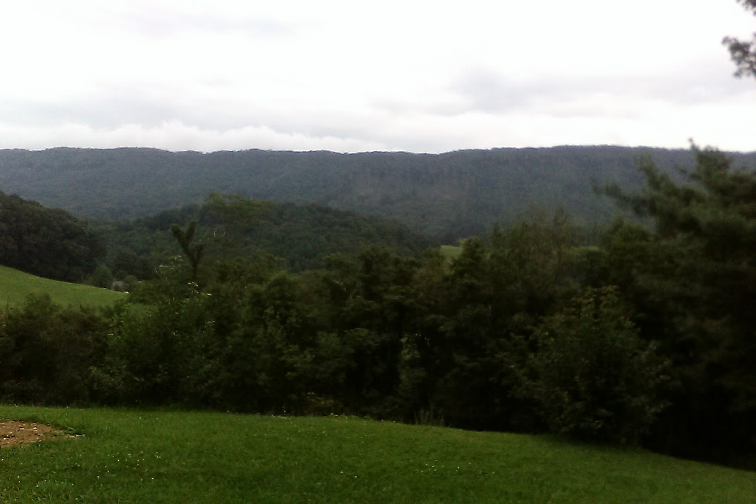 Tazewell County Humane Society