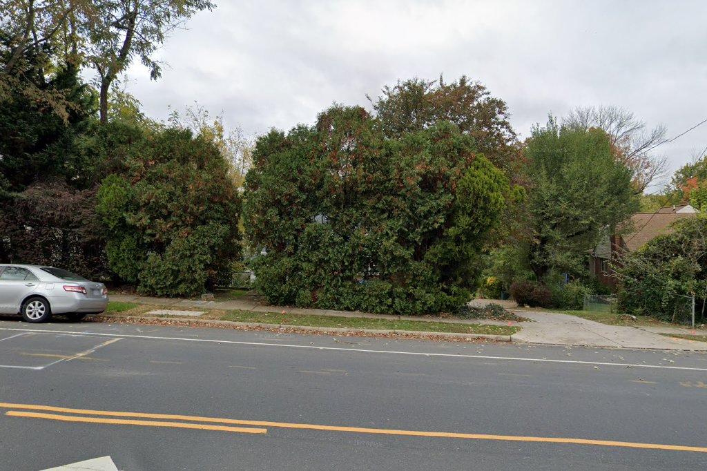 Blue Ridge Border Collie Rescue