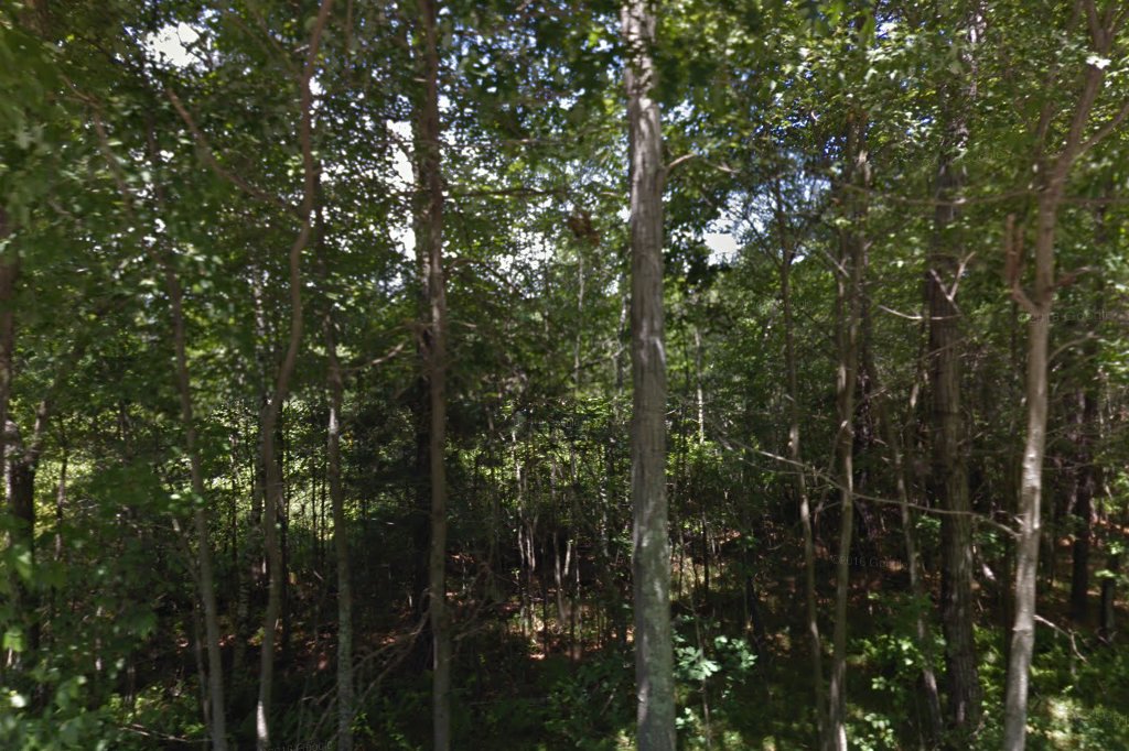 Harrisville Animal Shelter