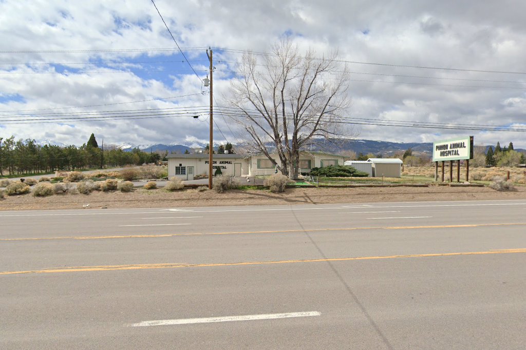 Pinion Veterinary Hospital