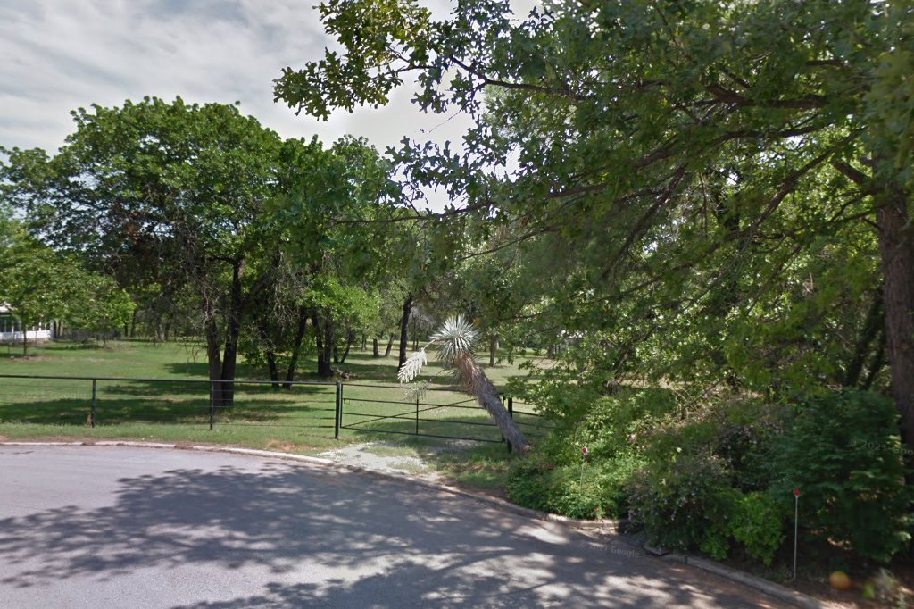 Blue Hawk Helping Animals With Kindness Org.