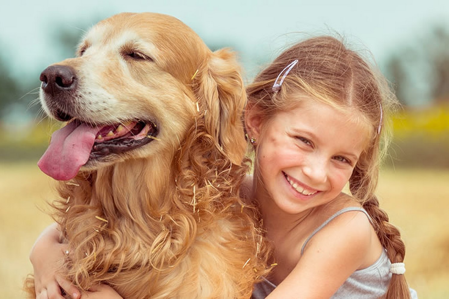 Quail Ridge Animal Hospital