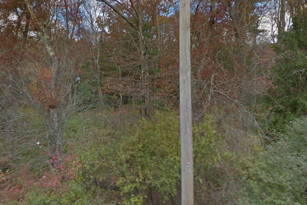 Chariho Animal Hospital