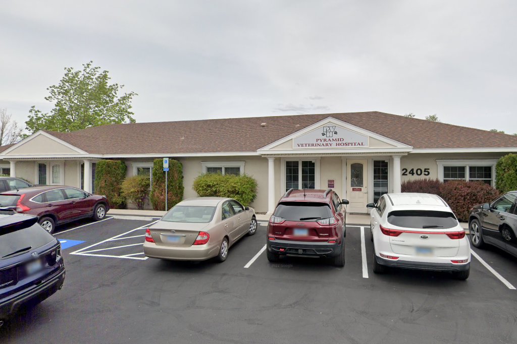 Pyramid Veterinary Hospital