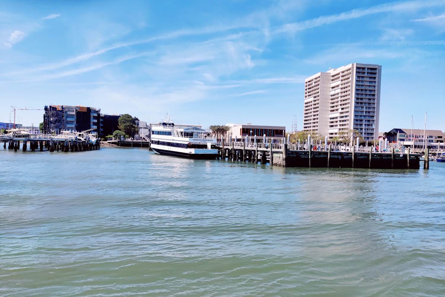 Wild Heirlabrador Rescue