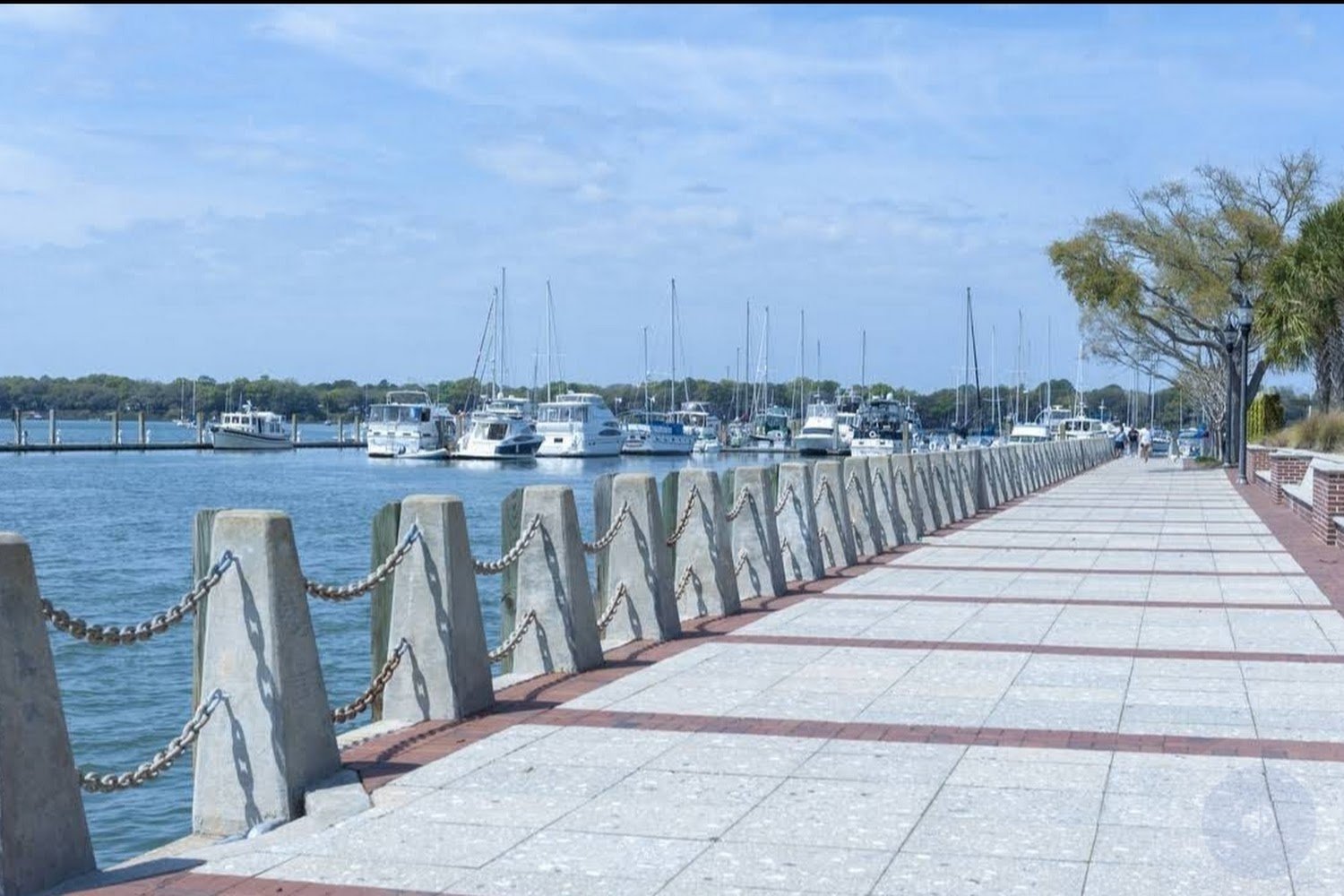 Beaufort Humane Association