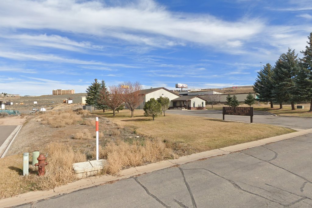 Evanston Animal Control