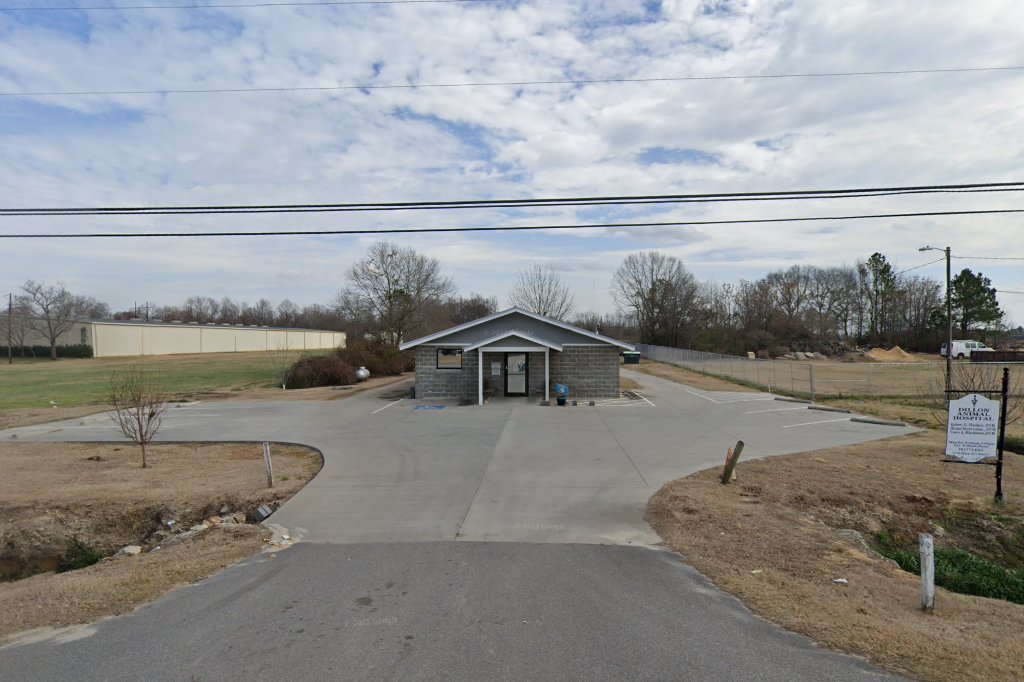 Dillon Animal Hospital