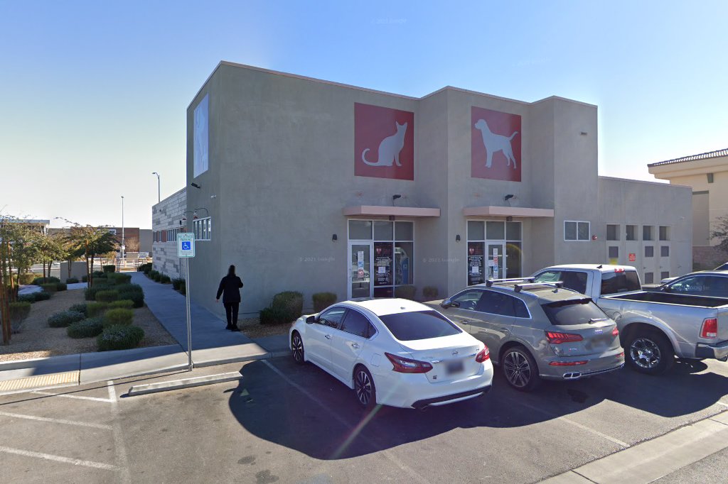 South Buffalo Springs Animal Hospital