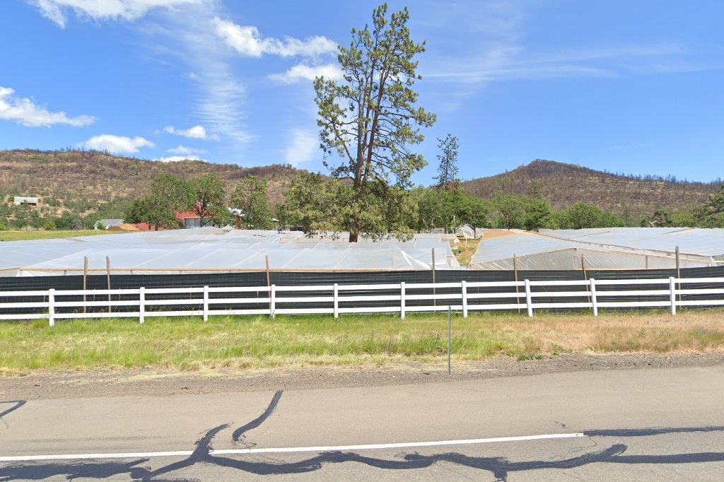 Wildwood Exotic Animal Shelter