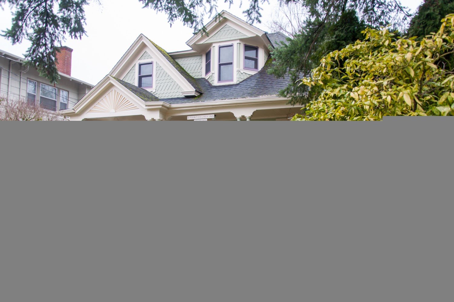 Caper Animal Protectionists