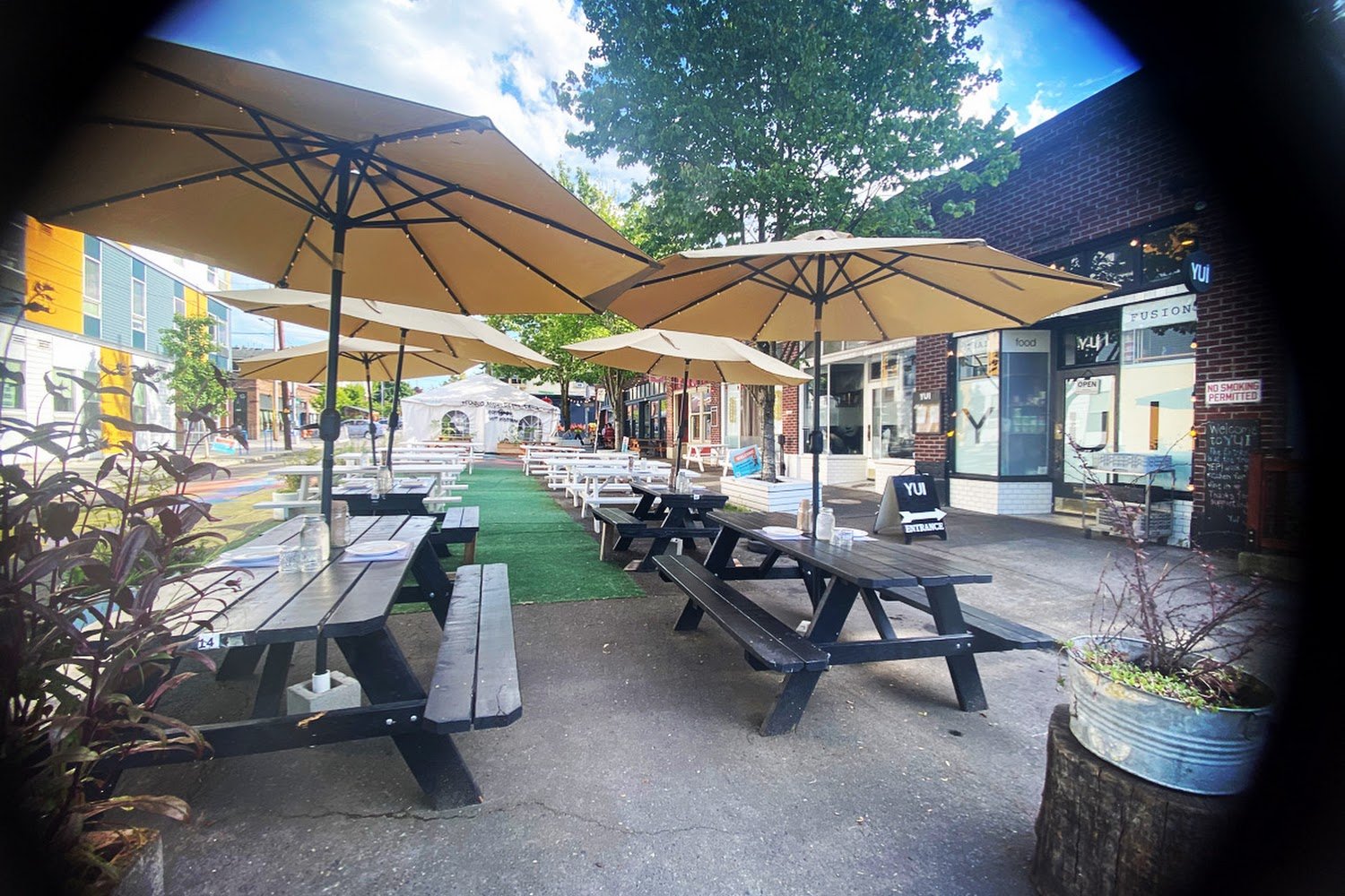 Companion Animal News Network International