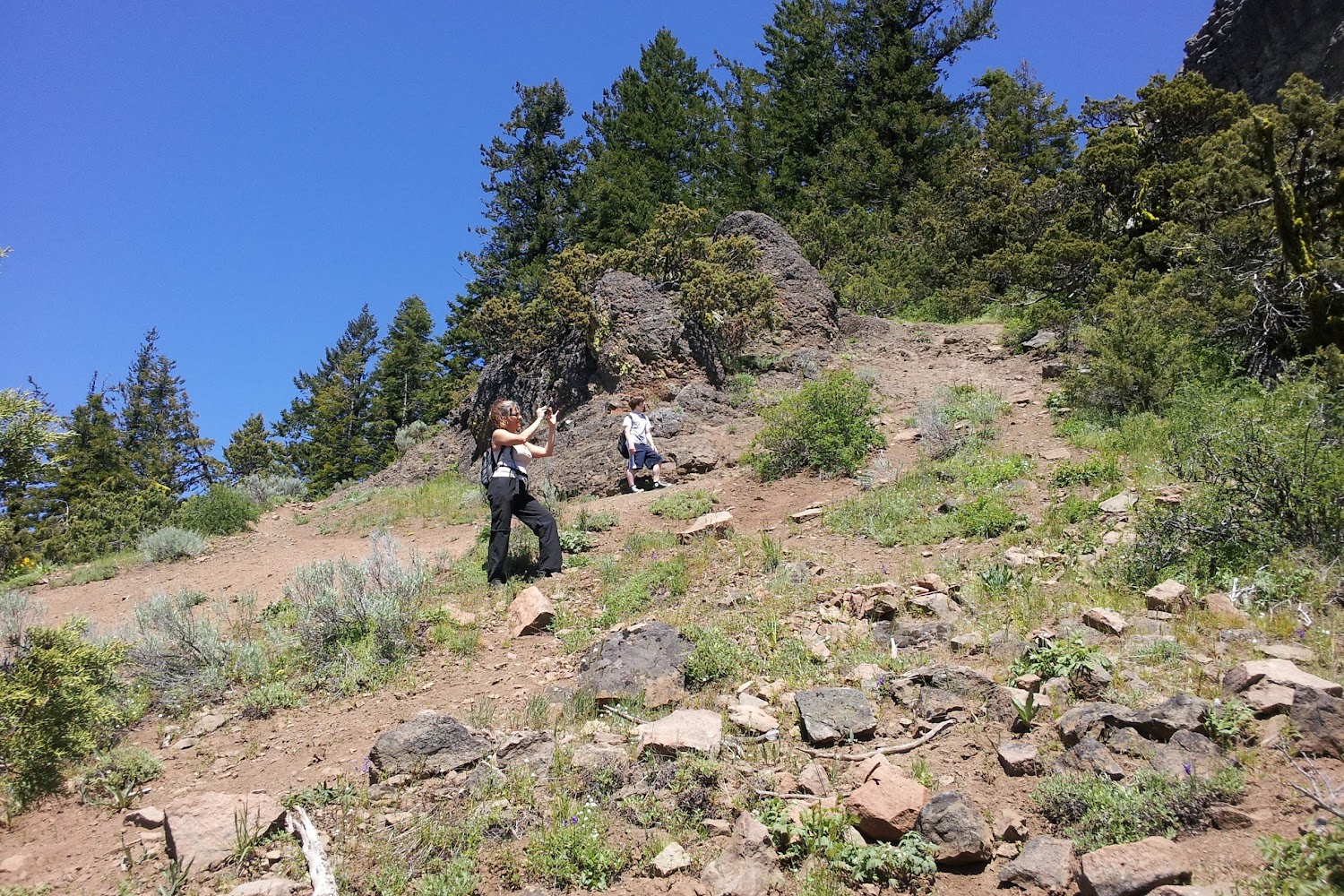 Humane Society of Morrow Umatilla