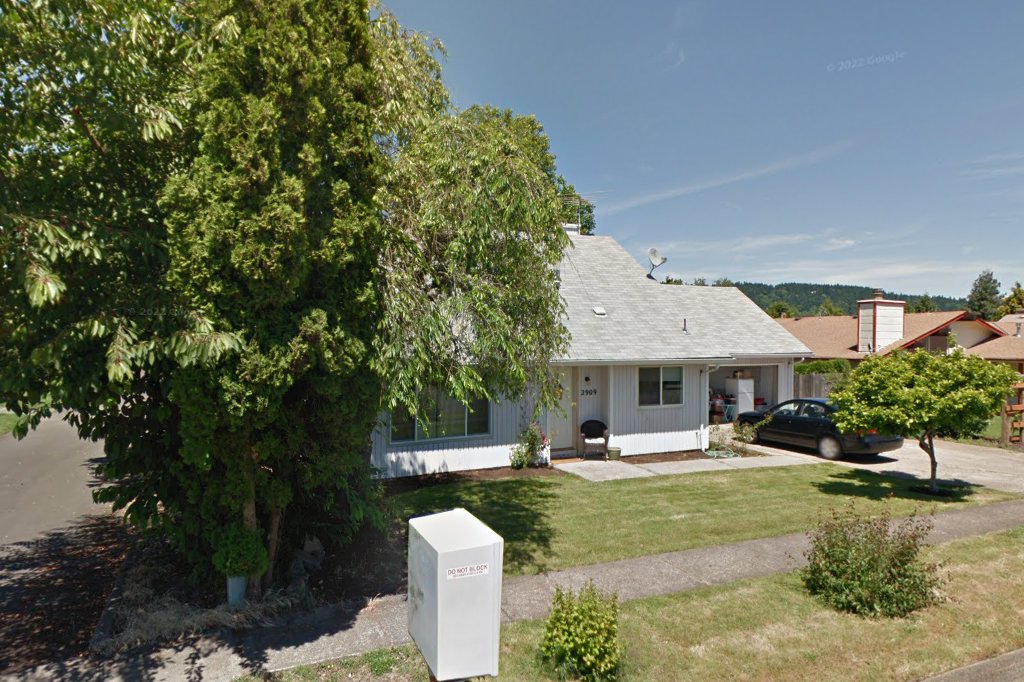 Oregons Rat Adoption Team Shelter O Rats