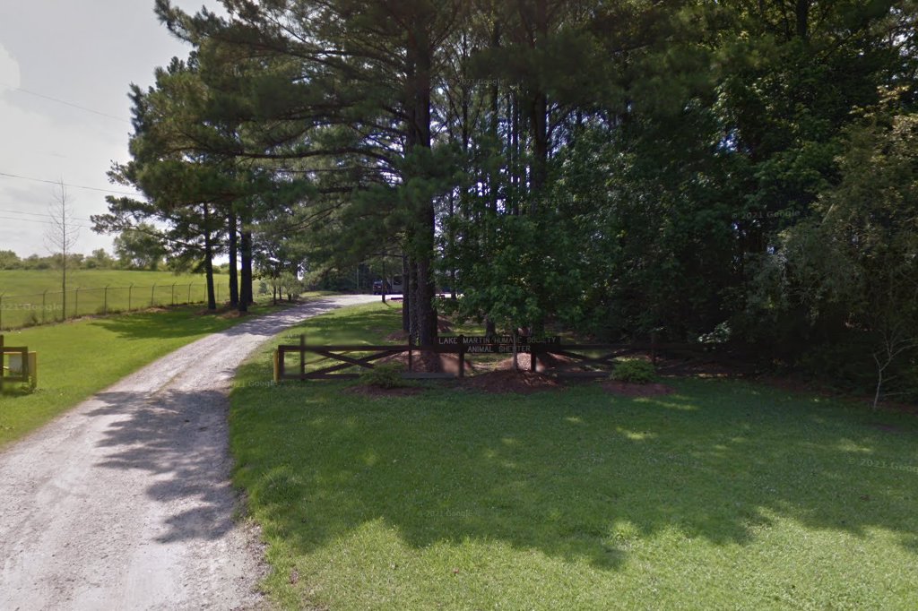 Lake Martin Humane Society & Animal Shelter