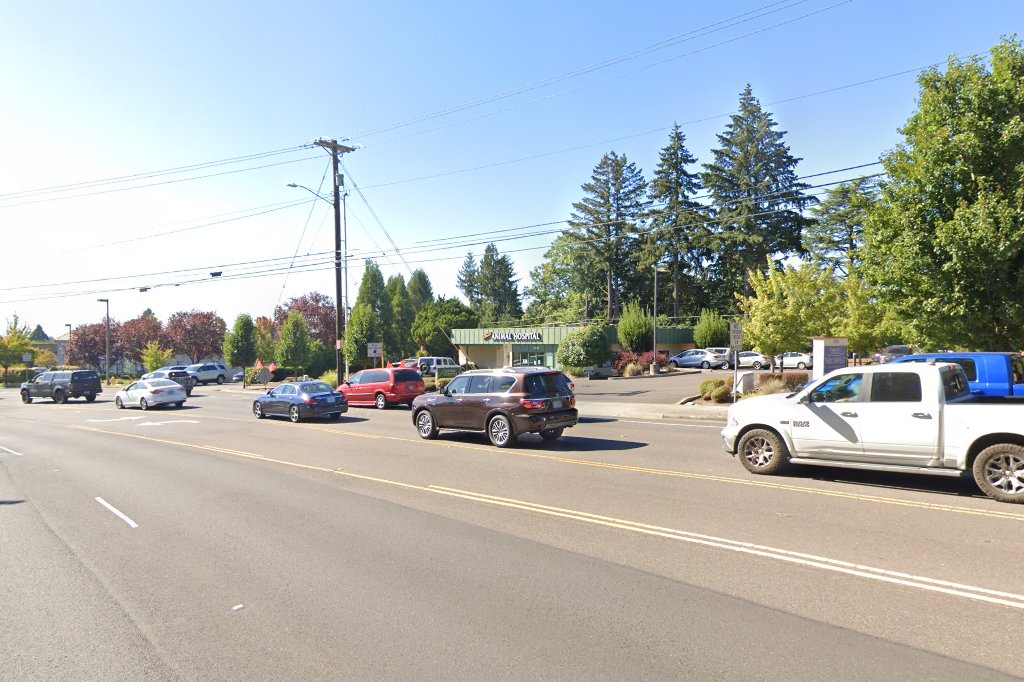 Southwest Animal Hospital Exotic Animal Practice