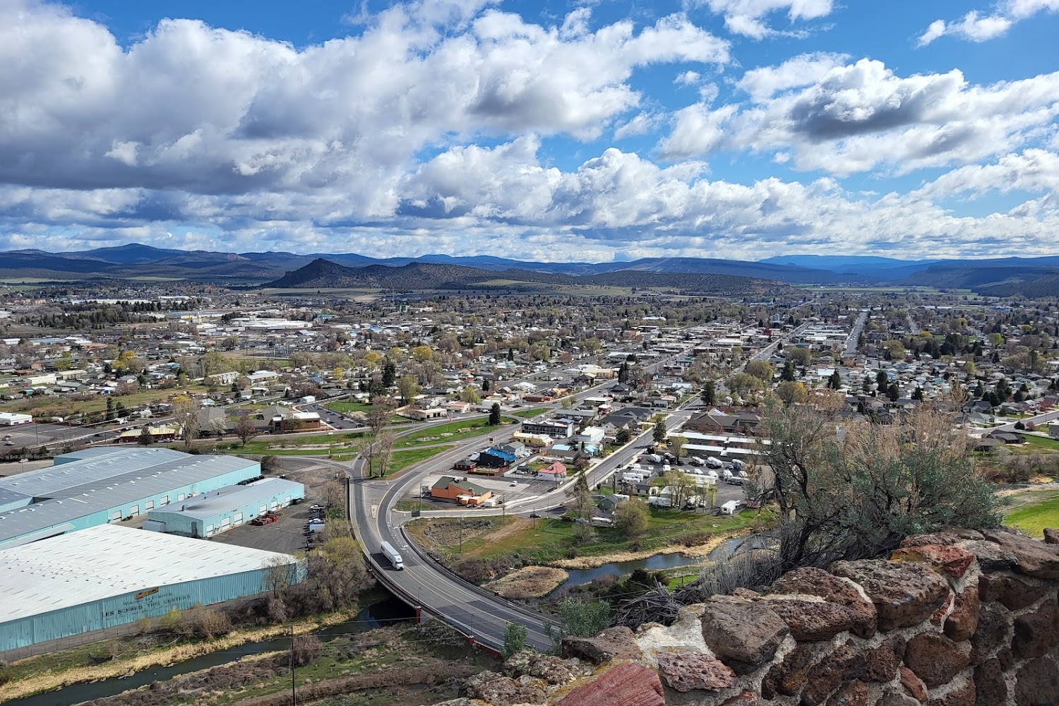 Dewey's Wheelchairs for Dogs